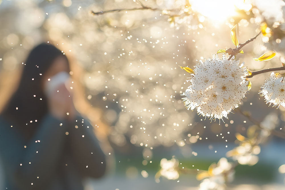 Pollen und Neurodermitis